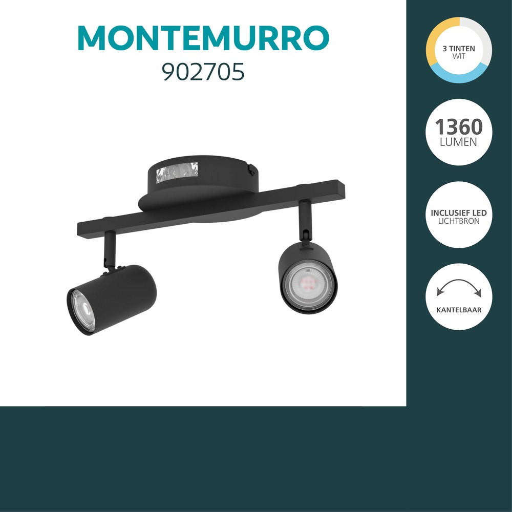 Oberflächenmontierter Spot Montemurro 2-Licht Schwarz Eglo 9008606392216