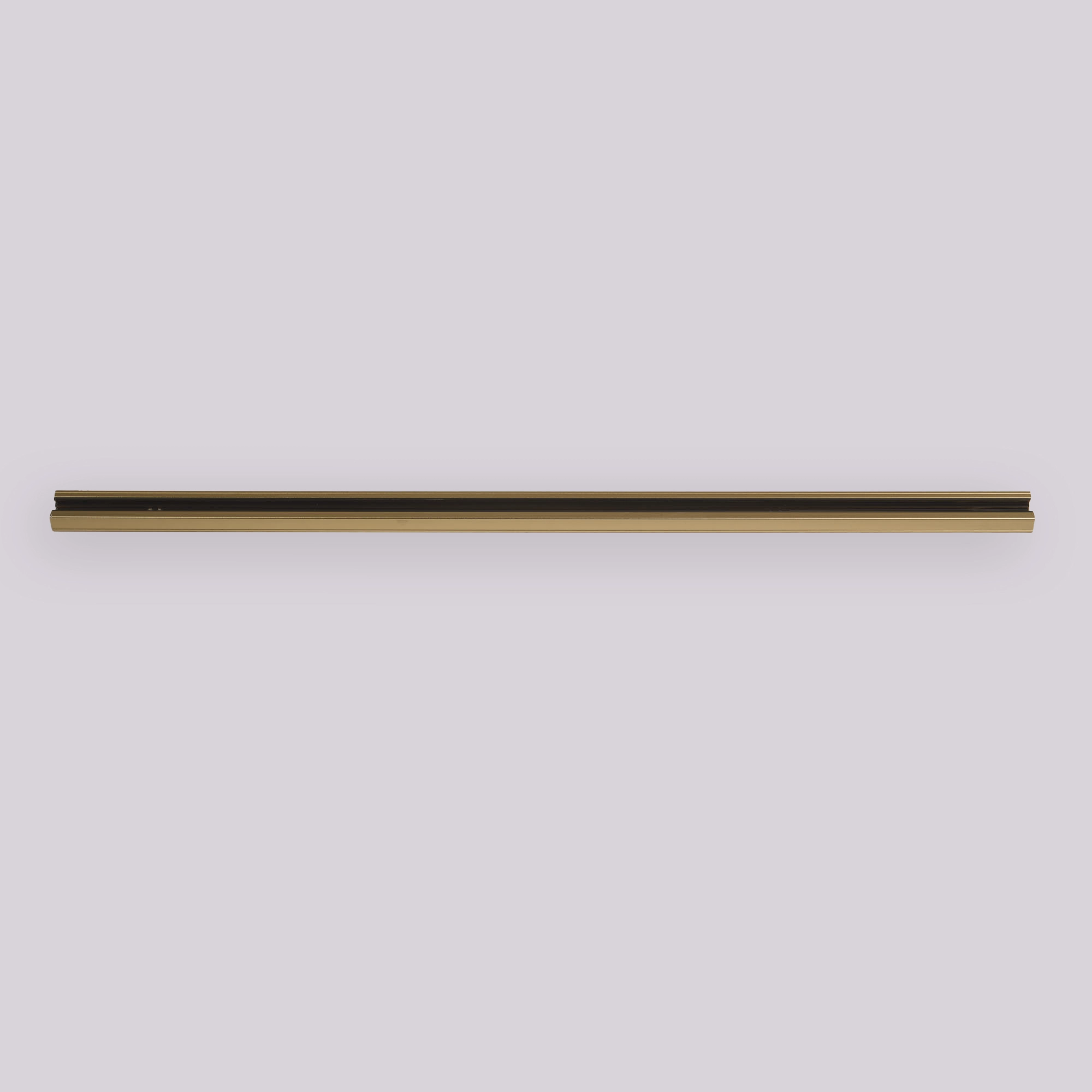 1-Meter-Schiene TraQ Gold