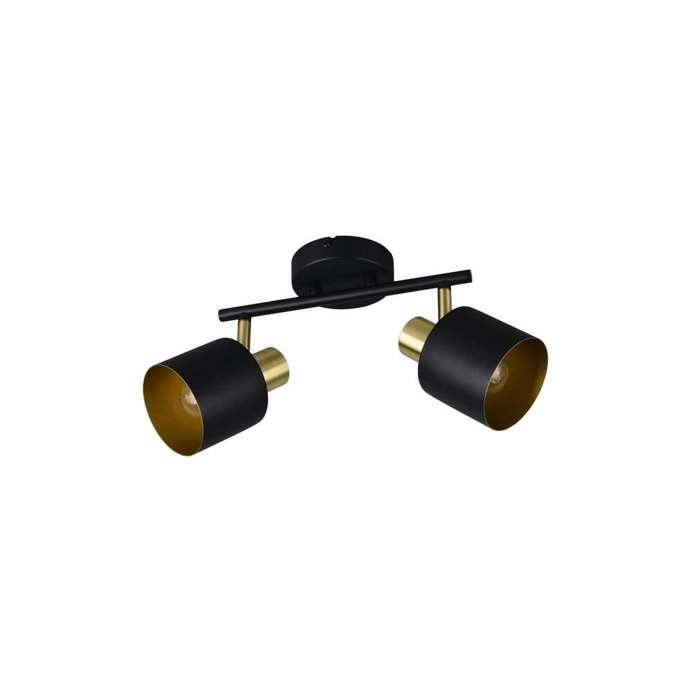 Deckenlampe Eva 2-flammig schwarz mit gold Trio 4017807654653