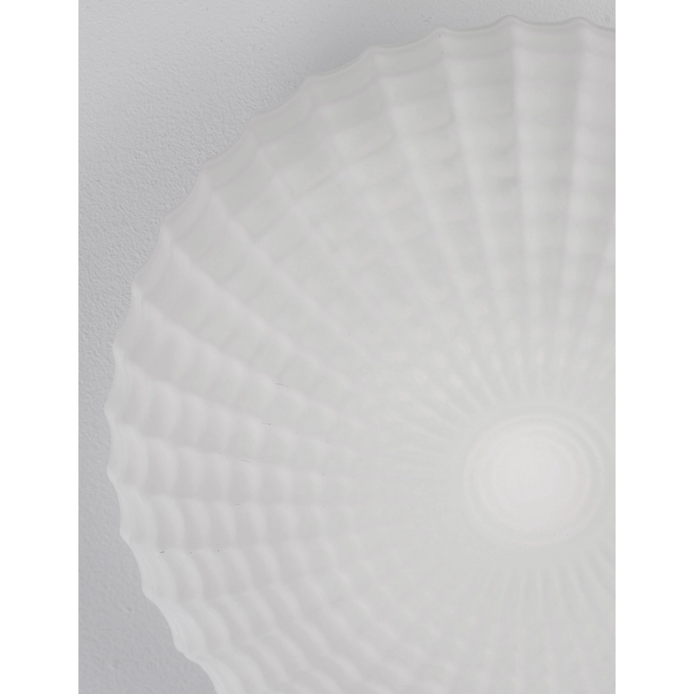 Deckenlampe Clam Weißes Glas Lyora 5212017419460