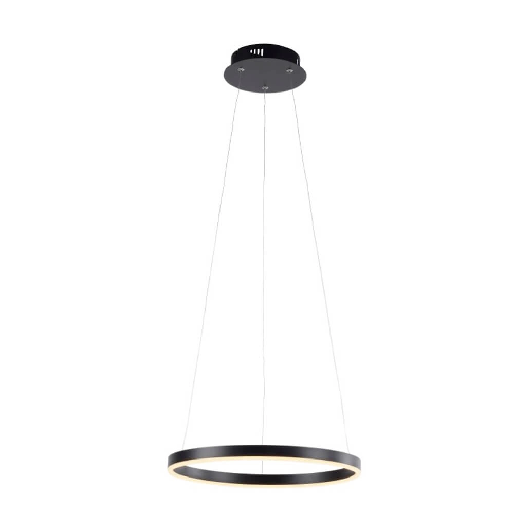 Schwarze LED-Hängelampe Ritus Ø 40cm Paul Neuhaus 4043689983949