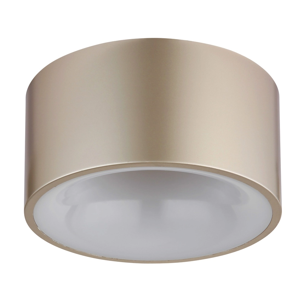 Deckenlampe Raymond Champagner Globo 9007371528868