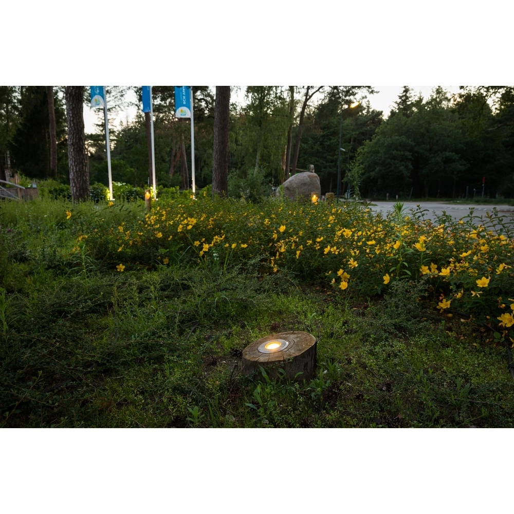 Holz-Uplighter Basso Kastanien – 40 cm – 2700.000 km Timberlab 8716803513693