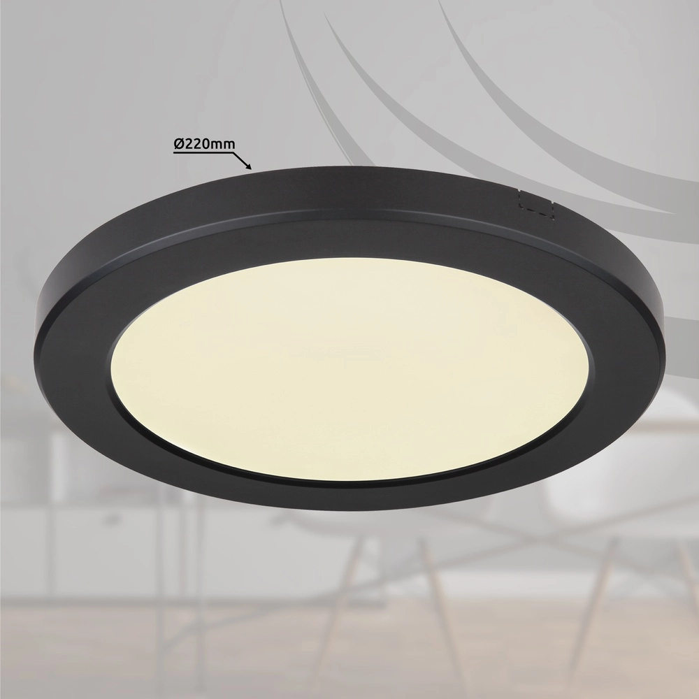 Design-Deckenlicht Lasse schwarz Ø 22 cm Globo 9007371405169