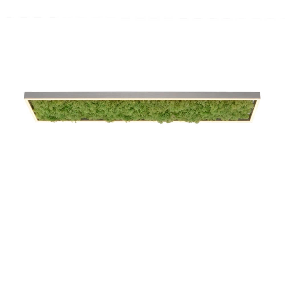 Rechteckige Deckenleuchte Green Knut mit Moos Just Light 4043689994846