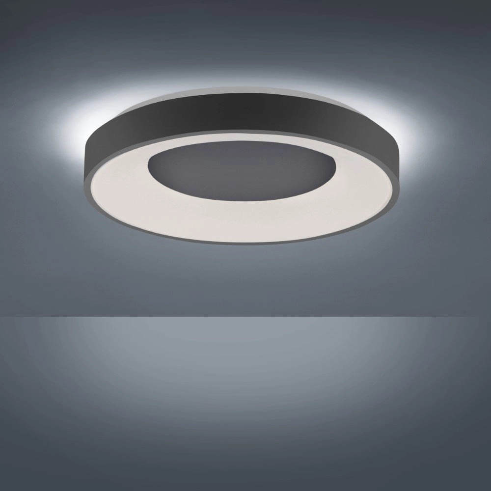 Ø 50cm Deckenleuchte Anika Just Light 4043689972851