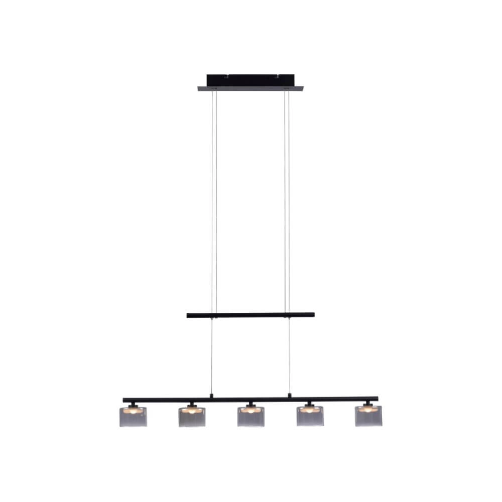 Hängelampe mit 5 Leuchten Hydra Schwarz Paul Neuhaus 4012248364970