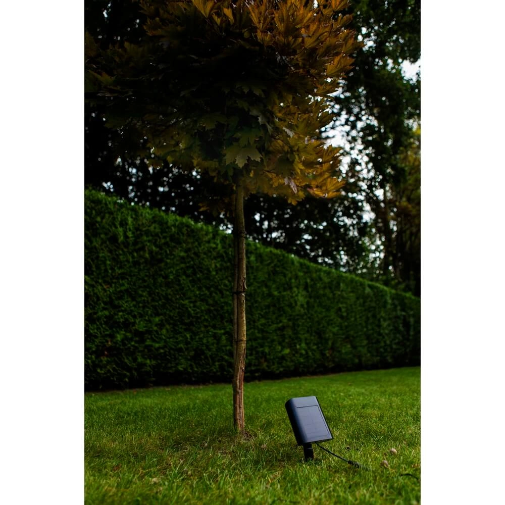 Solar-Erdspießstrahler für den Garten Bingo mit Bewegungsmelder Lutec 6939412089980