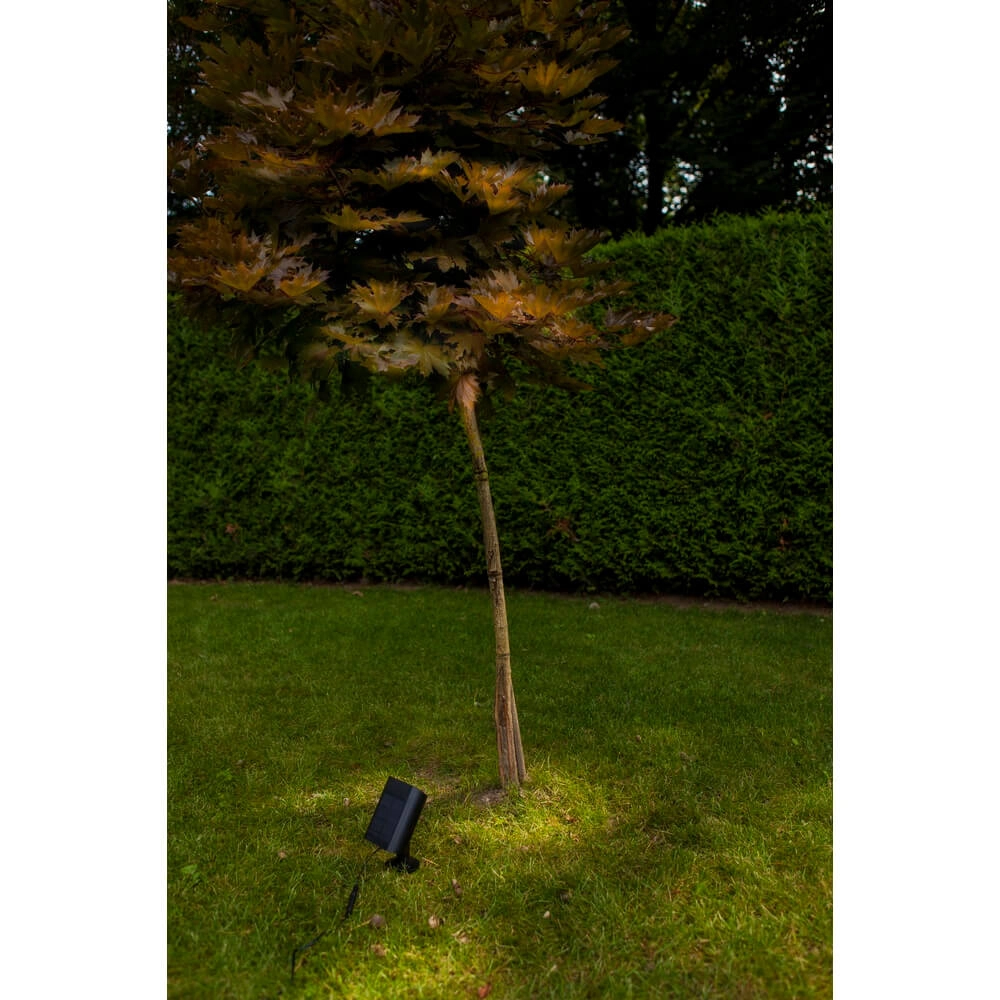 Solar-Erdspießstrahler für den Garten Bingo mit Bewegungsmelder Lutec 6939412089980