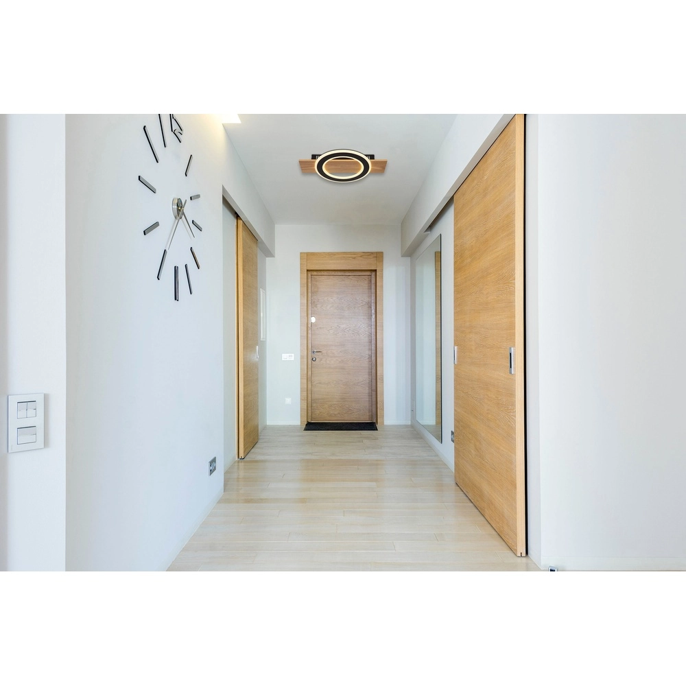 Design-Deckenlampe Jayden Schwarz mit Holz Globo 9007371465408