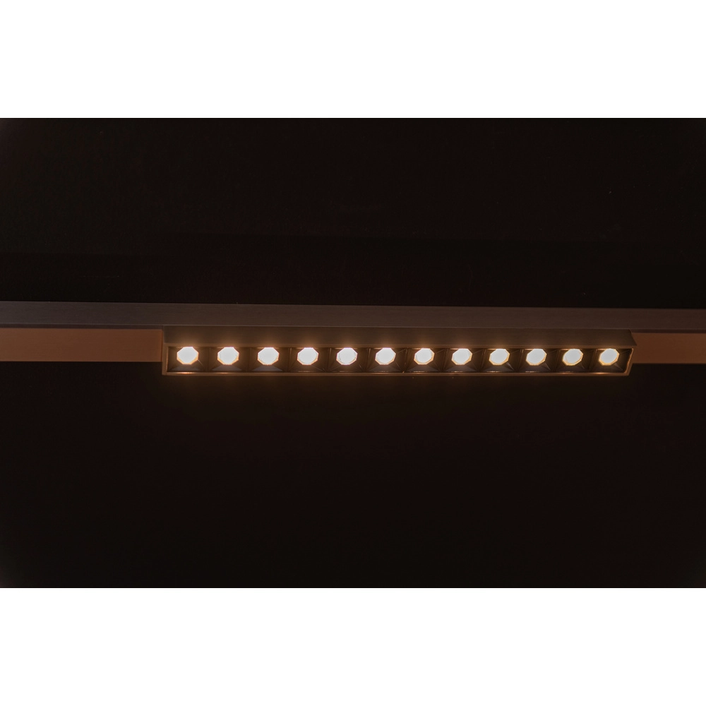 Einphasen-Gleis-Spot Linial Xenia Champagner Premium by Lucide 5411212552570
