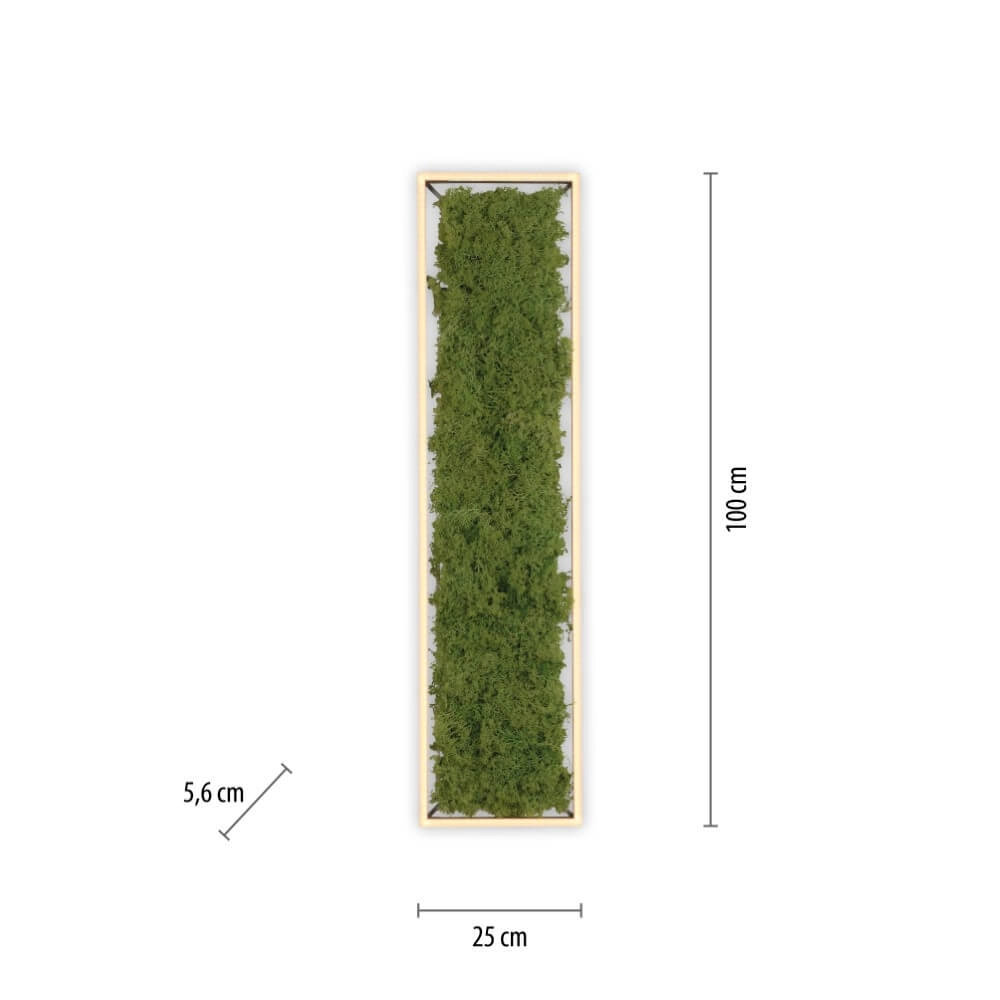 Rechteckige Deckenleuchte Green Knut mit Moos Just Light 4043689994846