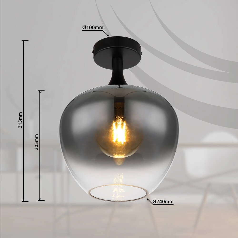 Schwarze Deckenleuchte Maxy Einzel Ø 24cm Globo 9007371444380