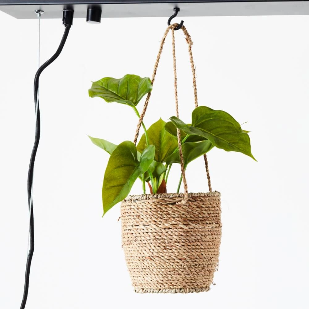 Hängelampe Bankwood 80cm Brilliant 4004353396588