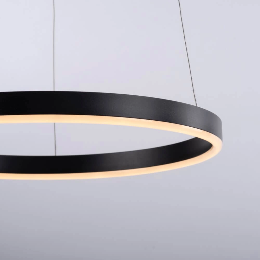 Schwarze LED-Hängelampe Ritus Ø 40cm Paul Neuhaus 4043689983949