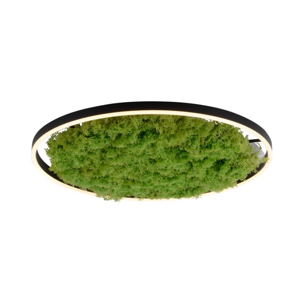Deckenleuchte Green Ritus mit Moos Ø 58,5cm Just Light 4043689994808