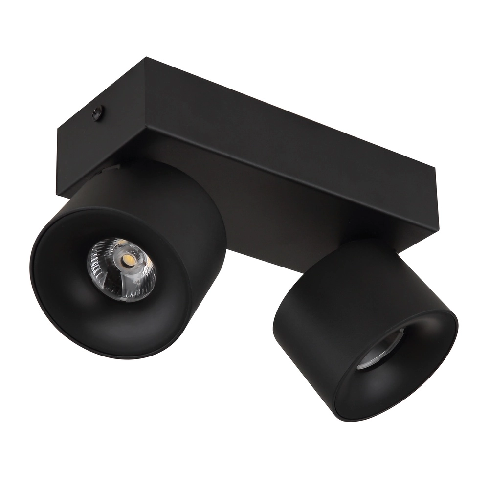 Elegante Deckenlampe Rae 2-Licht Schwarz Globo 9007371447640