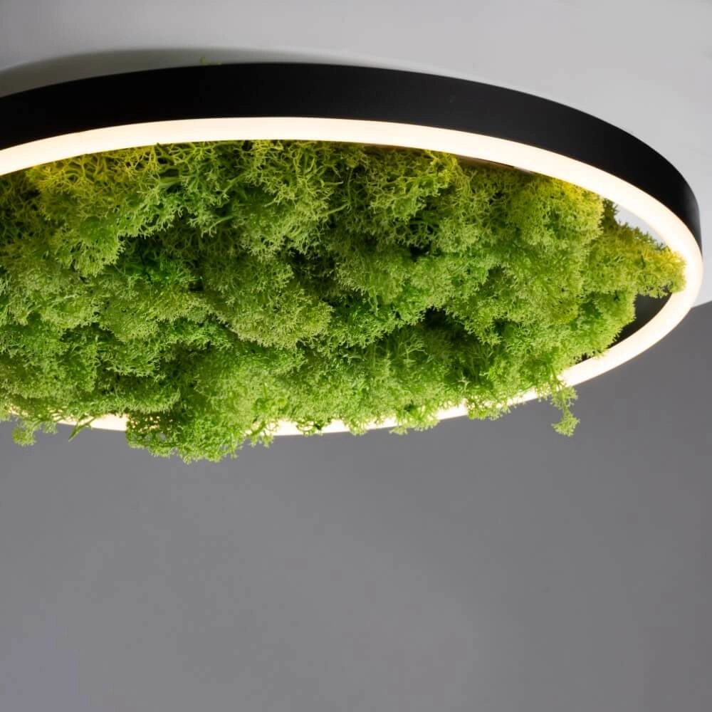 Deckenleuchte Green Ritus mit Moos Ø 39,3cm Just Light 4043689994792