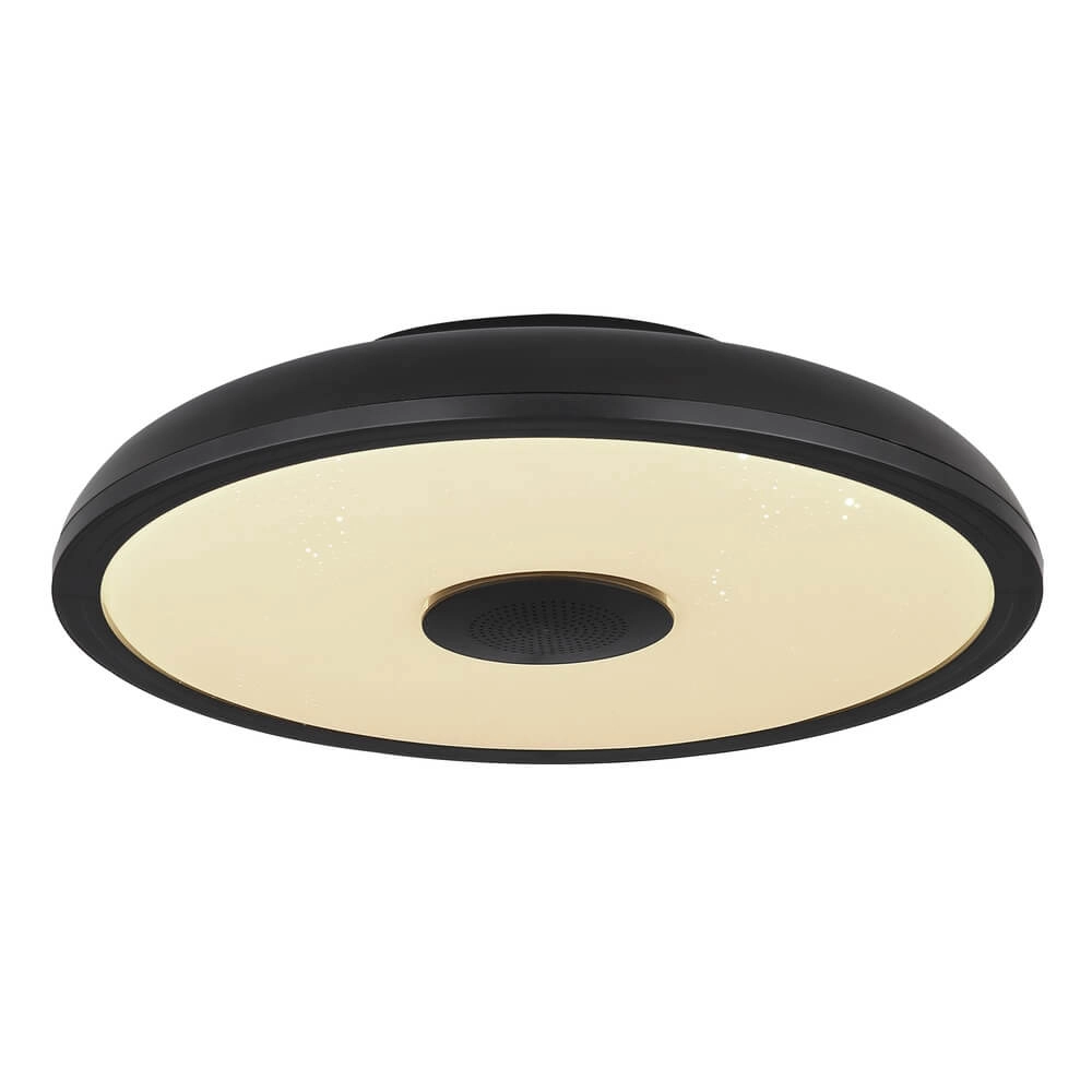 Schwarze Deckenleuchte Raffy Ø 28cm