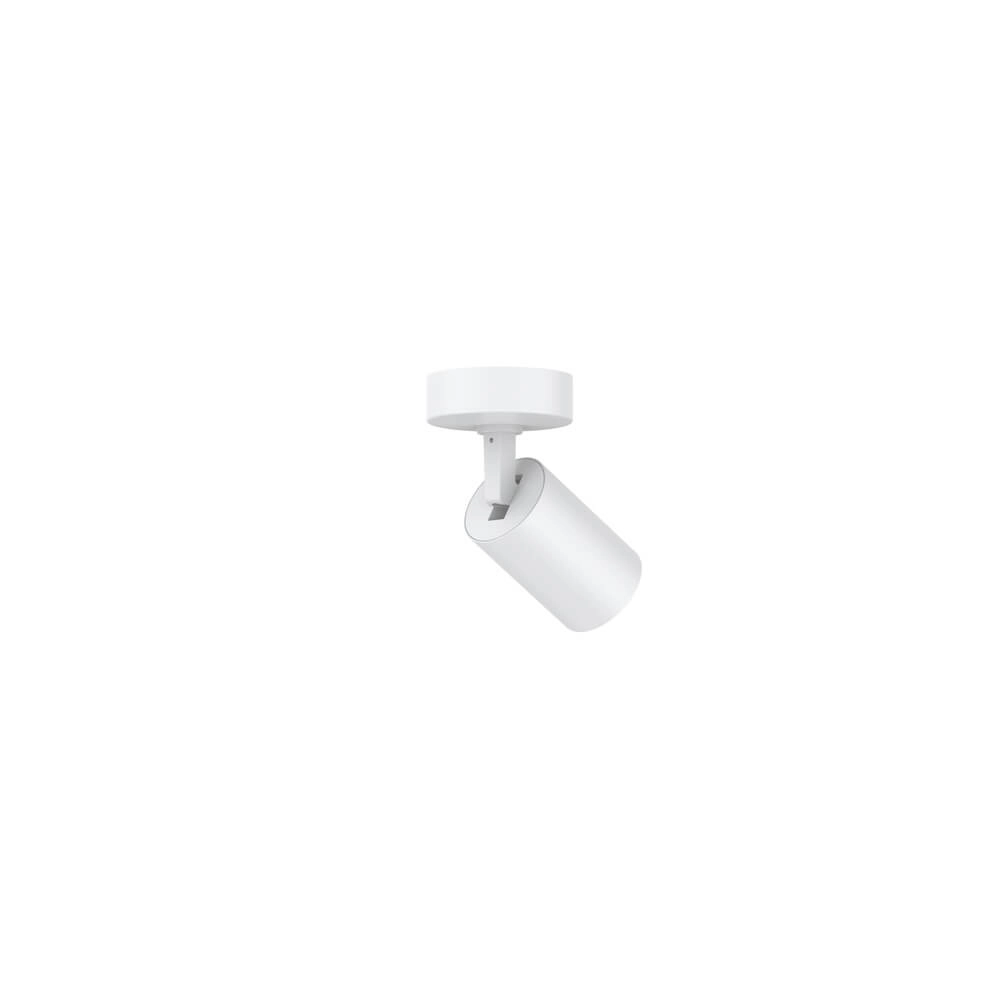 Einzel-Aufbaustrahler Tevo weiÃŸ Lyora 4255805301029