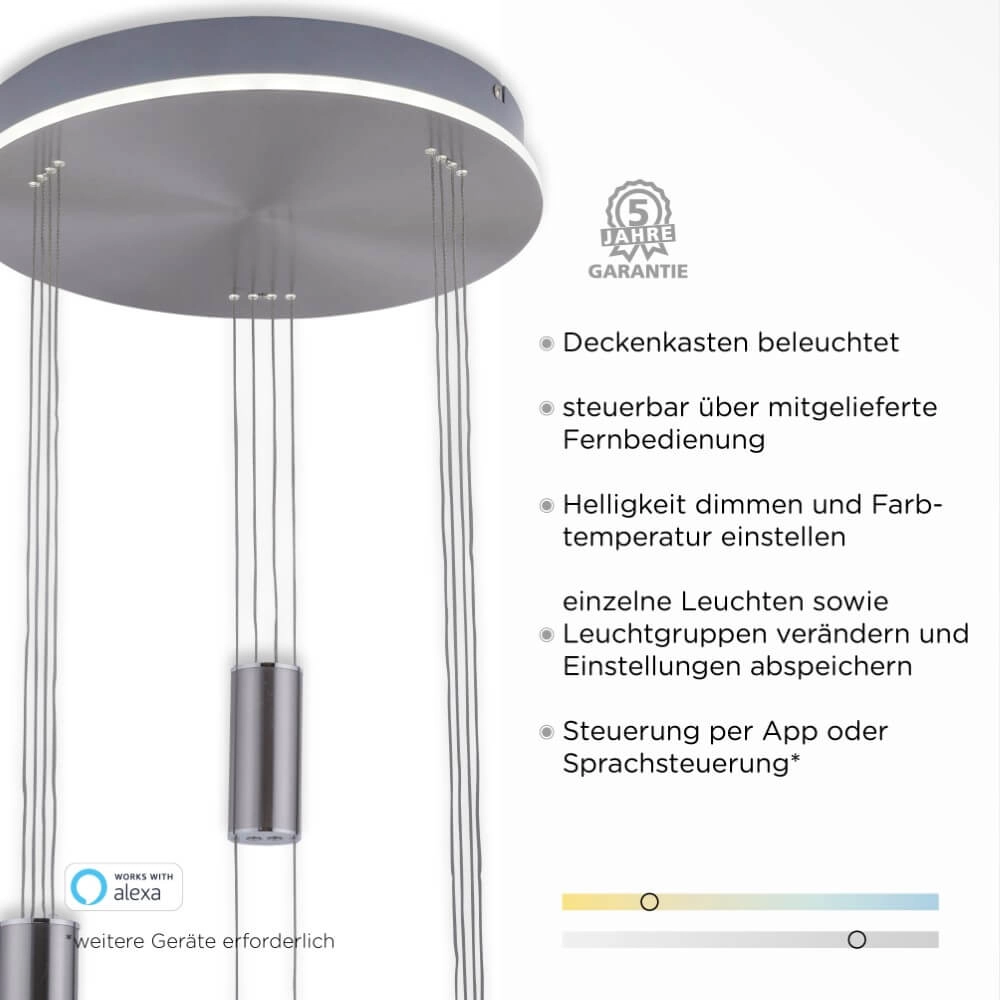 Hängelampe mit 3 Leuchten Q-Etienne Metall rund Paul Neuhaus 4012248350447