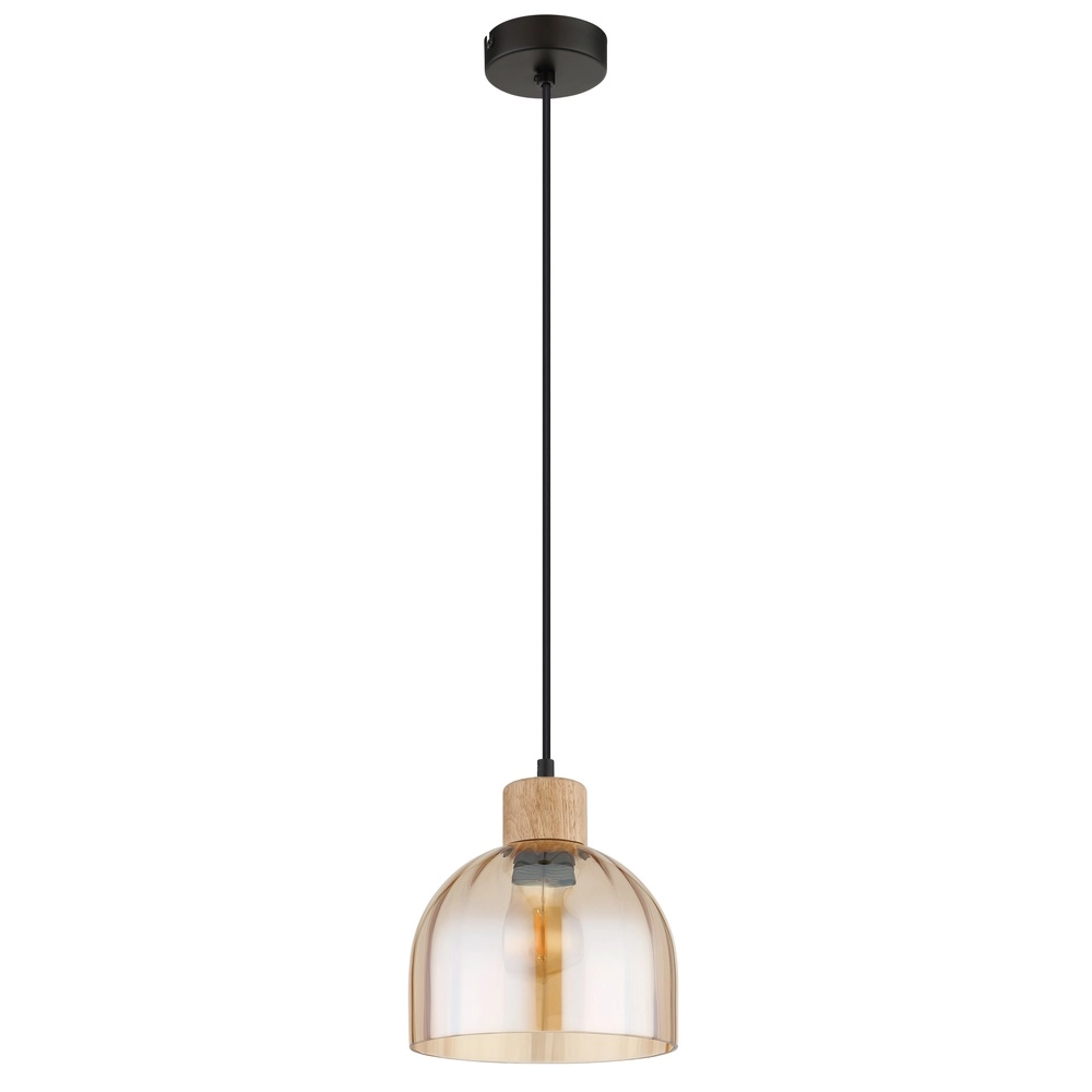Pendellampe Swanson schwarze Ø 20cm Globo 9007371589647