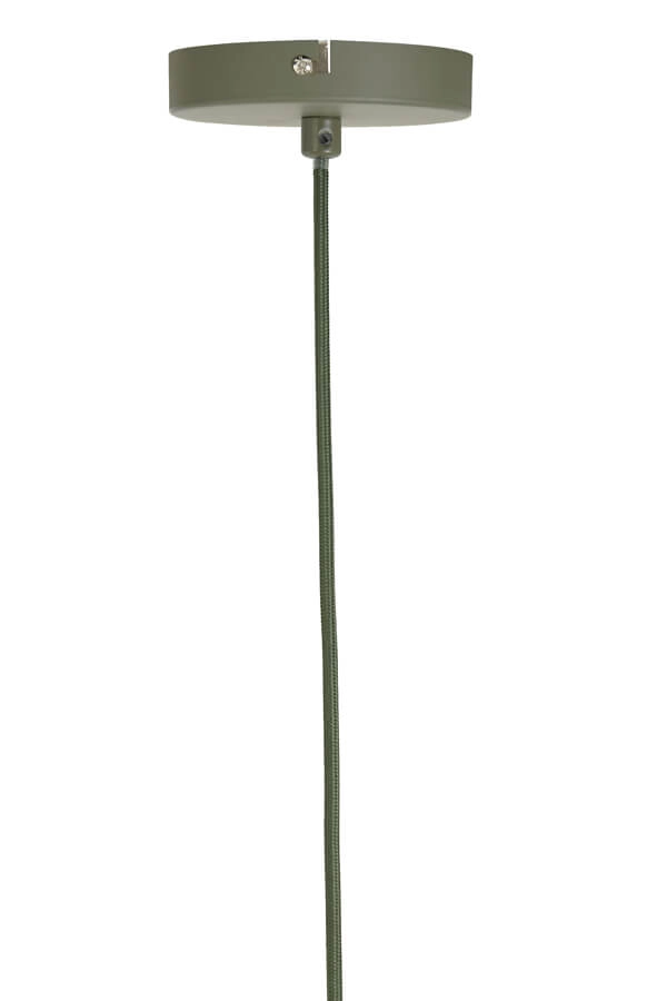 Grüne Pendelleuchte Plumeria Ø 42cm Light & Living 8717807651459