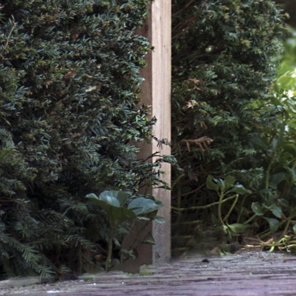 Ländliche Gartenspot Balume Pole auf Holzmast Authentage 8716803505070