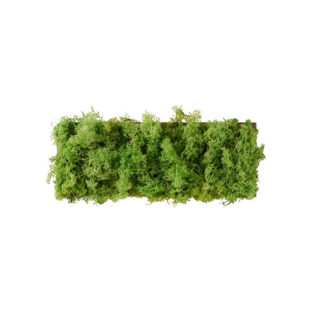 Rechteckige Deckenleuchte Green Carlo mit Moos Just Light 4043689994853