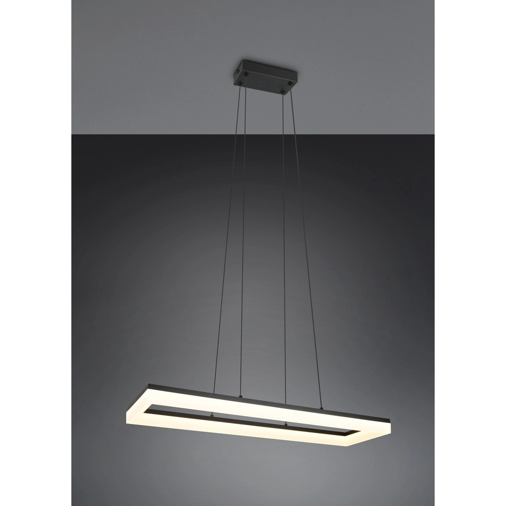 Schlanke Pendelleuchte Camino schwarz Trio 4017807655766