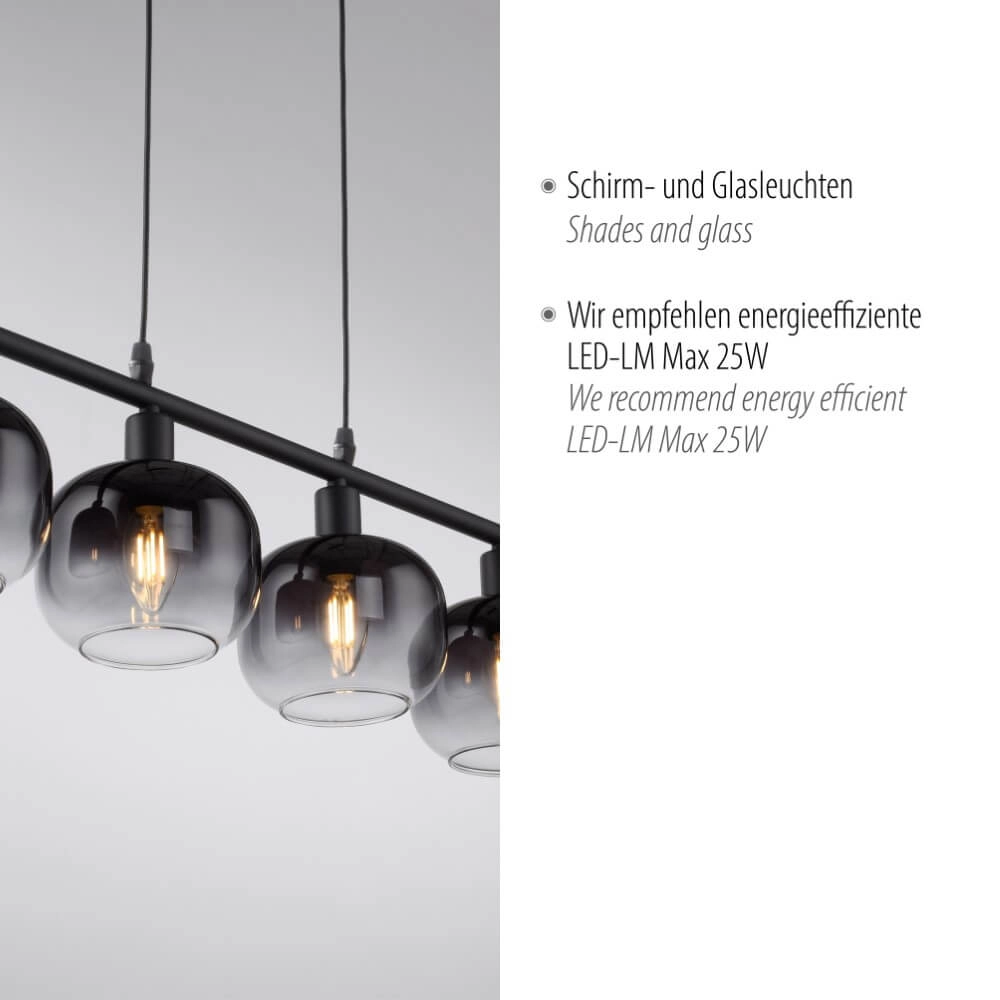 Schwarze Hängelampe Zea 4-Licht Just Light 4043689993757