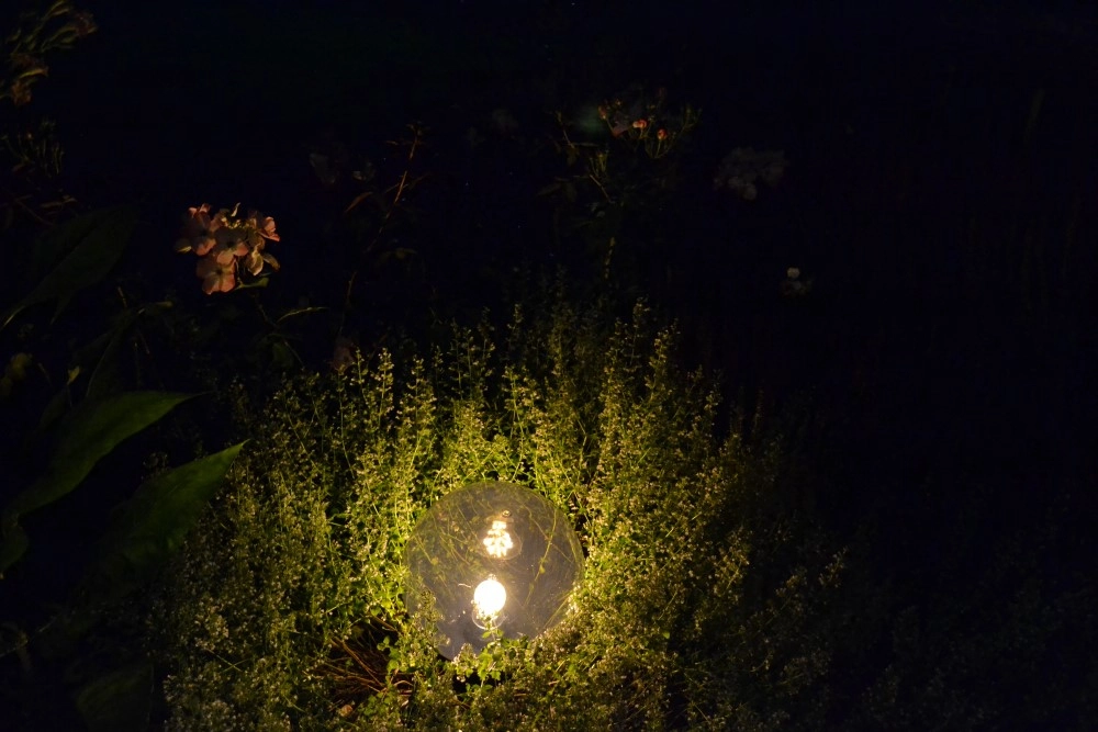 Glühbirne Lampe Bolano 20cm. Grundlegend klar Lyora 8716803509191