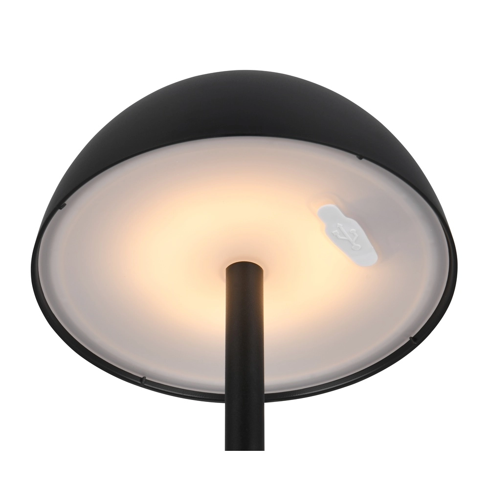 Tischlampe Ricardo schwarz Ø 13,5cm Trio 4017807601794