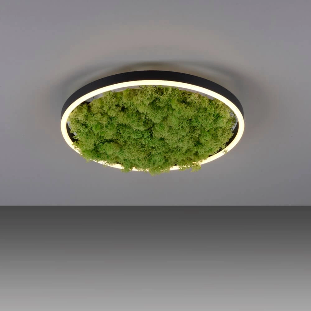 Deckenleuchte Green Ritus mit Moos Ø 39,3cm Just Light 4043689994792