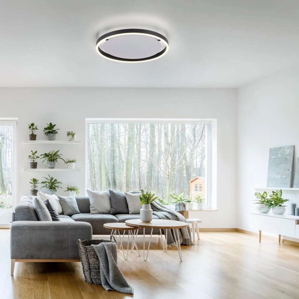 LED-Deckenleuchte Ritus Ø 40cm Paul Neuhaus 4043689983925