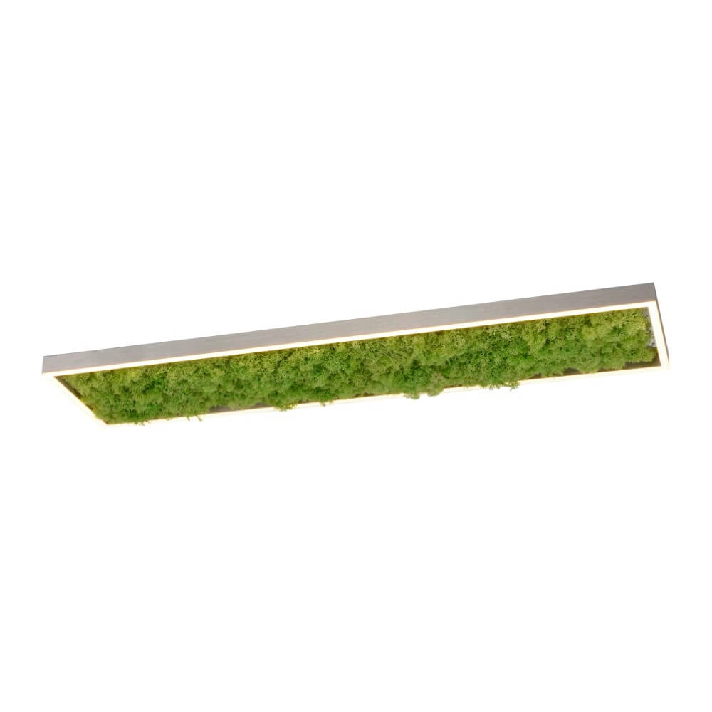 Rechteckige Deckenleuchte Green Knut mit Moos
