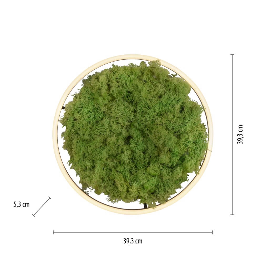Deckenleuchte Green Ritus mit Moos Ø 39,3cm Just Light 4043689994792