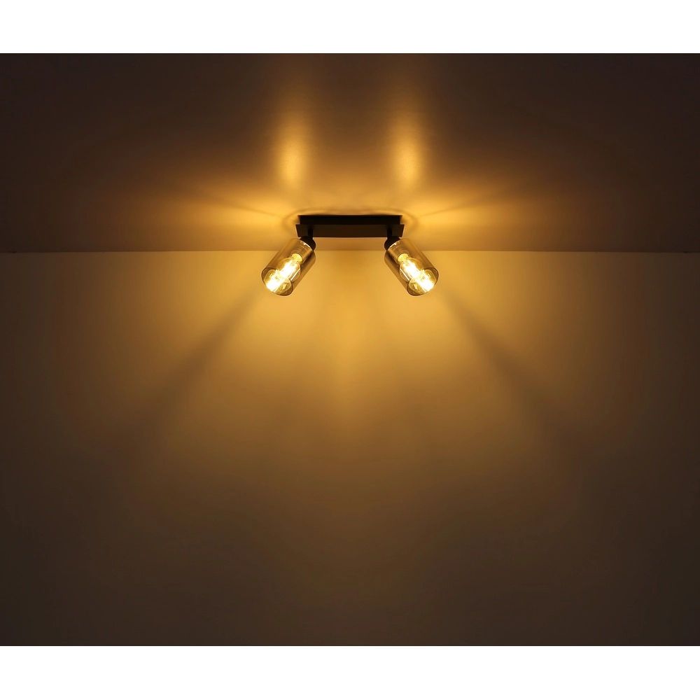 Deckenlampe Hadera 2-Licht Schwarz mit Rauchglas Globo 9007371440214