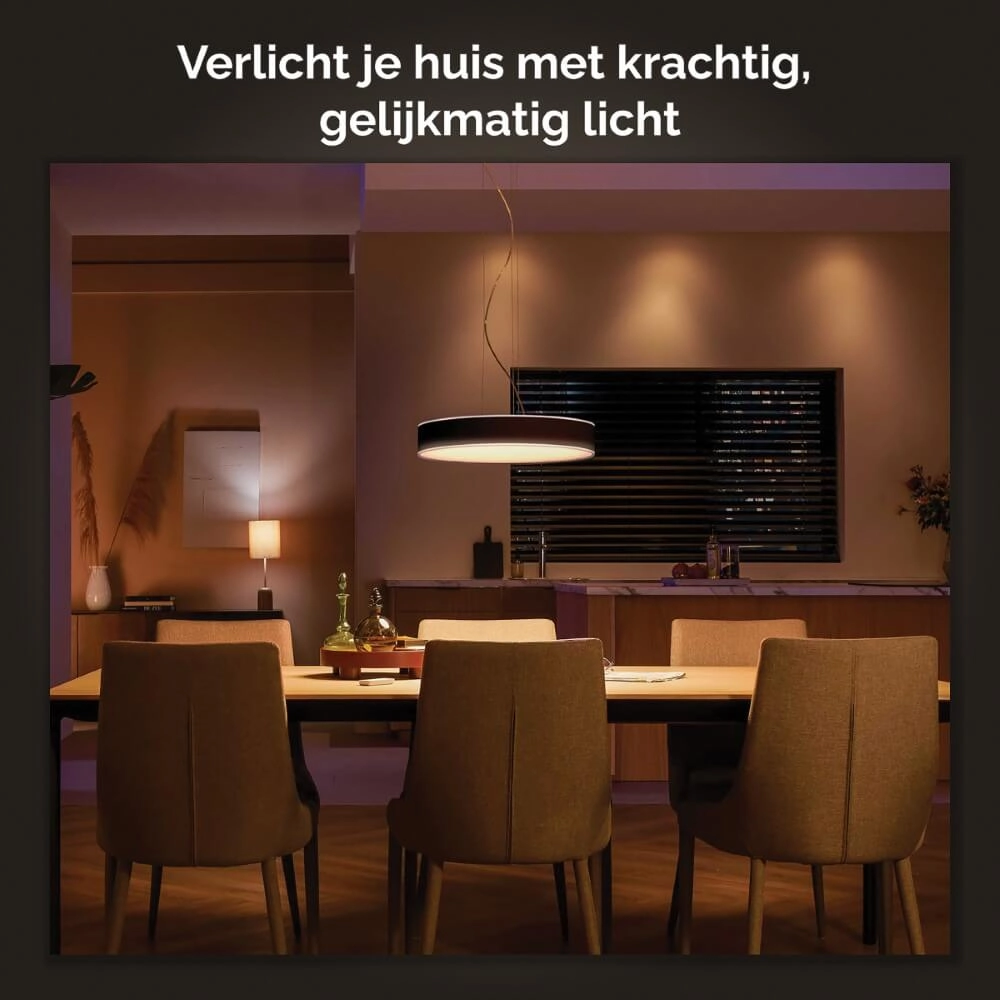 Hängelampe Hue Enrave - White Ambiance Ø 42,5cm schwarz Philips 8718696176580