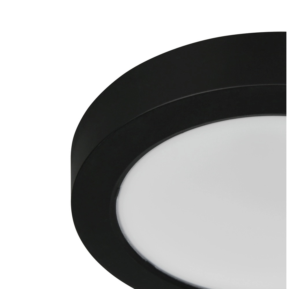 Deckenlampe Laru Ø 12 cm schwarz Trio 4017807711509