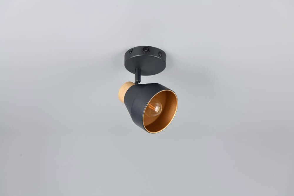 Design-Wandleuchte Valentin schwarz Trio 4017807637397