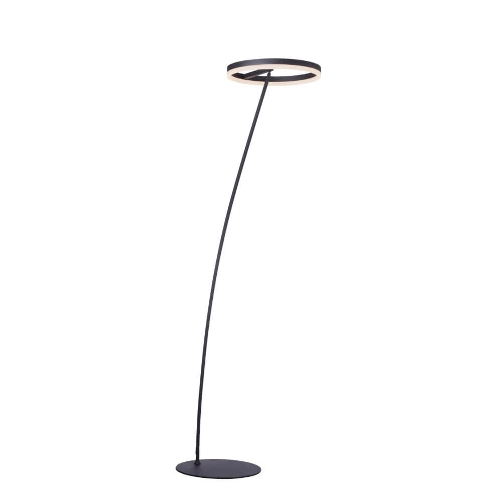 Anthrazitfarbene Stehleuchte Titus modern Paul Neuhaus 4012248357637