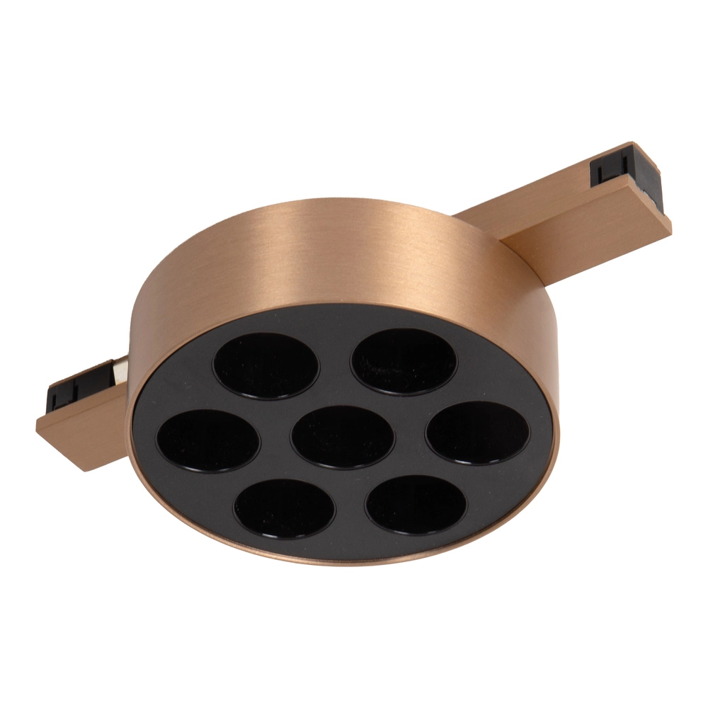 Einphasen-Gleis-Spot Linial Xavi Champagner Premium by Lucide 5411212552556