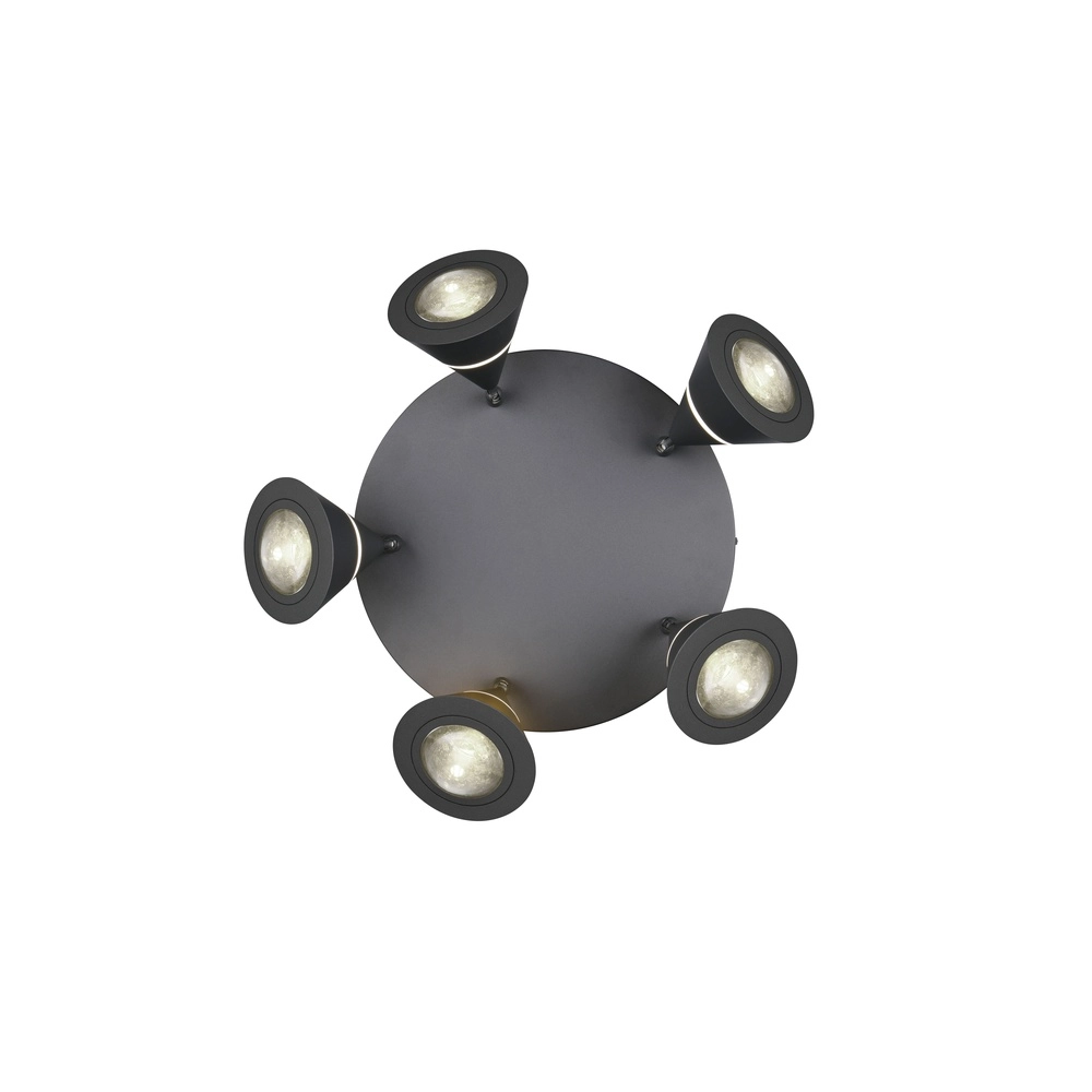 Deckenlampe Romeo schwarz Trio 4017807670417