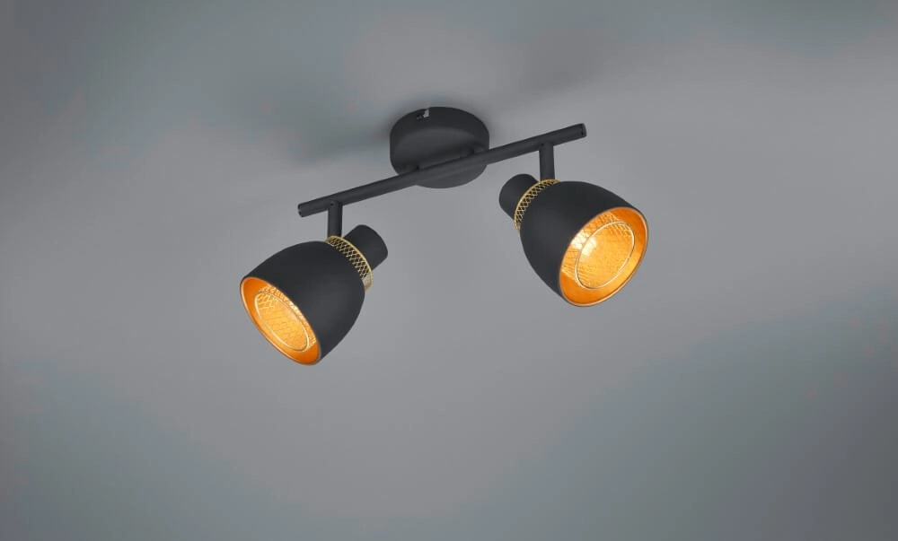 Schwarze Deckenlampe Punch 2-flammig Trio 4017807567380