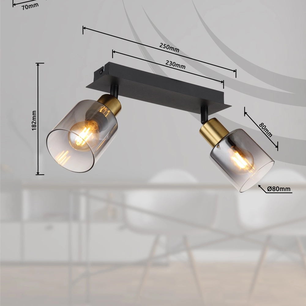 2-Licht Deckenlampe Hollsy Schwarz mit Rauchglas Globo 9007371445851
