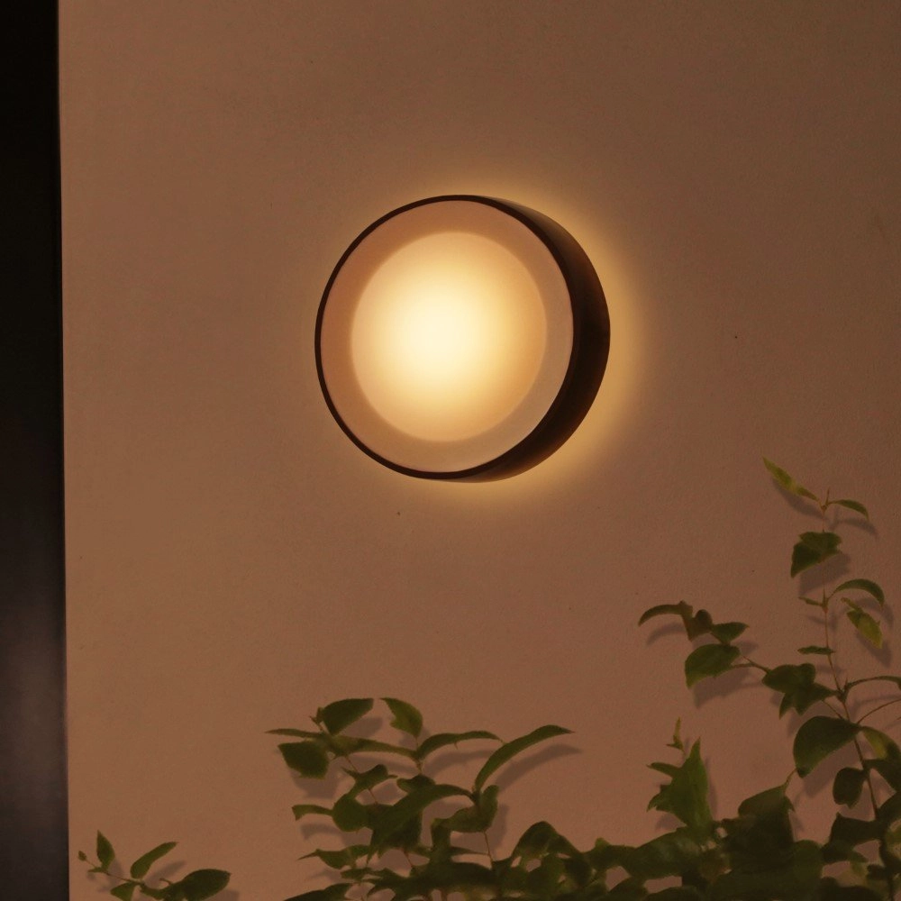 Runde Außenlampe Hue Daylo Schwarz Philips 8718696174401