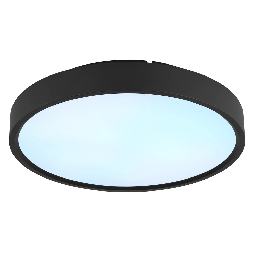 Deckenlicht Jess Schwarz Globo 9007371592470