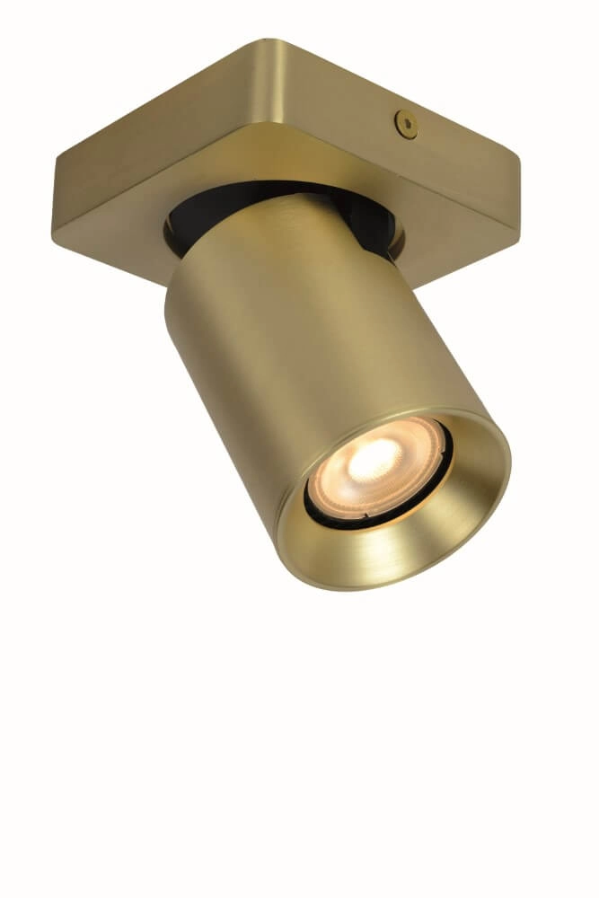 Richtbarer Aufbaustrahler Megano Gold Artdelight 8719831738694