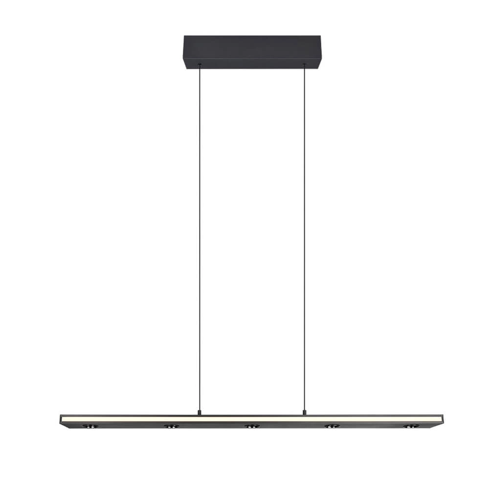 Design-Pendelleuchte Graham schwarz Trio 4017807642919